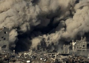 800 Thousand People in the Gaza Strip are Starving