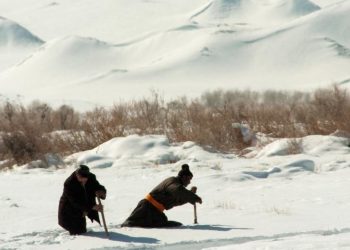 Mongolian Dzud: Extreme Weather Puts 90% of Country at ‘High Risk’