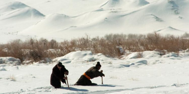 Mongolian Dzud: Extreme Weather Puts 90% of Country at ‘High Risk’