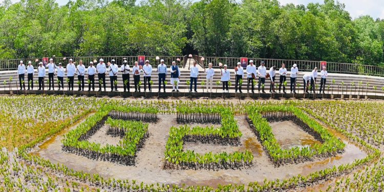 The Global Blended Finance Alliance at the G20 Bali will Become an International Organization