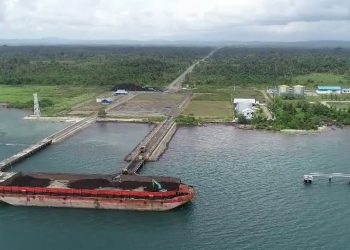Investing IDR 75 Trillion, 2 Chinese Companies Ready to Build Nickel and Steel Smelter in Sorong