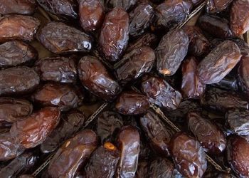 Malaysia Confiscates 73 Boxes of Dates from Israel
