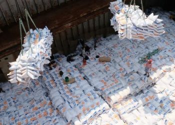 Indonesia Imports 300 Thousand Tons of Rice from Thailand and Pakistan