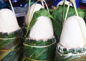 Food Safety: Indonesia Develops Sago to Diversify Carbohydrates