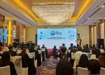 Indonesia Offers Renewable Energy Investment Opportunities to Chinese Entrepreneurs