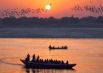 Deadly Heat Wave, 29 Dead in India