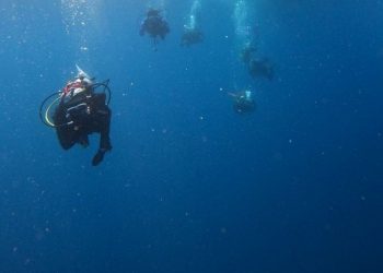 BRIN and OceanX Exploration of Indonesian Marine Biodiversity