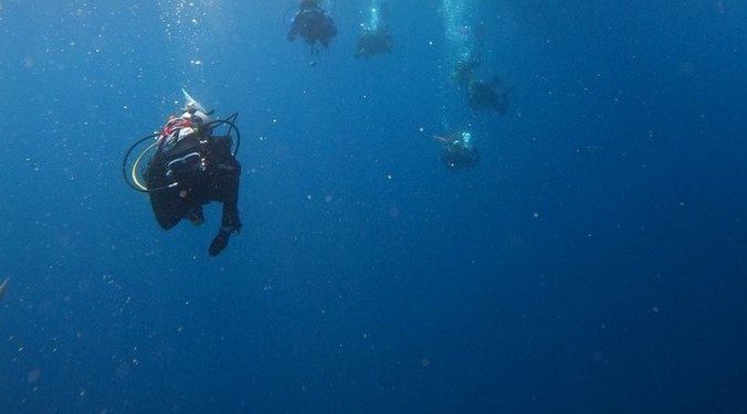 BRIN and OceanX Exploration of Indonesian Marine Biodiversity