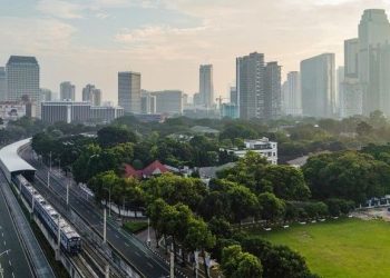 Why are Indonesia and India the Targets of Global Investors?