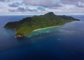 ThorCon Power Will Soon Build a Nuclear Fuel Factory in Indonesia