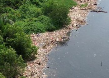ADB Disbursed Loan to Indonesia US$500 Million to Reduce Plastic Waste in the Sea