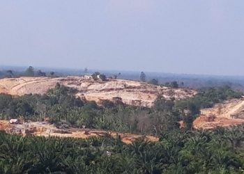 Chinese Nationals Manage Illegal Gold Mines in Kalimantan