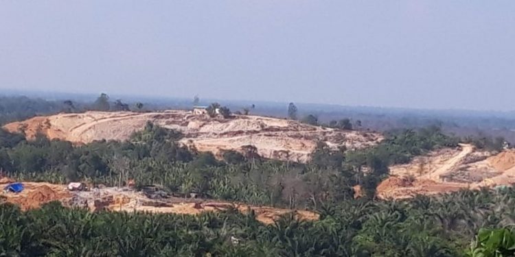 Chinese Nationals Manage Illegal Gold Mines in Kalimantan
