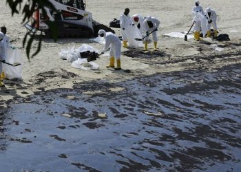 Oil Pollution in Singapore is Increasingly Widespread, Threatens Ecology