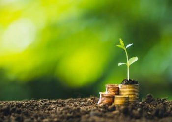 WWF: Banking in Indonesia Needs to Strengthen Climate Action