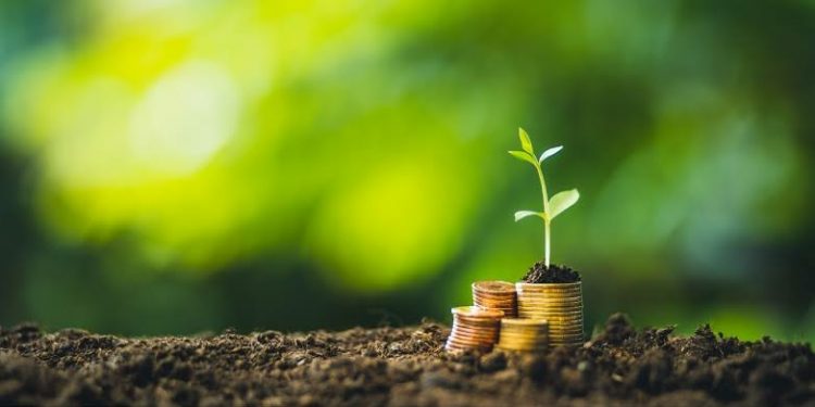 WWF: Banking in Indonesia Needs to Strengthen Climate Action