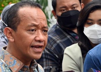 Eramet and BASF Nickel Downstream Investment in Indonesia is Not Cancelled, But Postponed