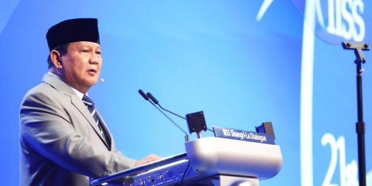 Indonesia Ready to Send Peace Troops to Gaza
