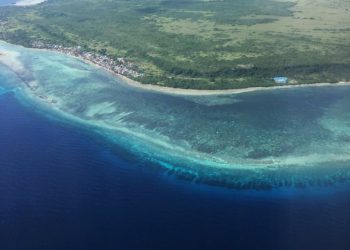 Pertamina, Petrochina and Petronas Study Buton Field Development