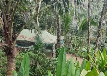 There is a Clandestine Laboratory in Bali Controlled by Foreigners