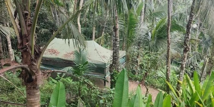There is a Clandestine Laboratory in Bali Controlled by Foreigners