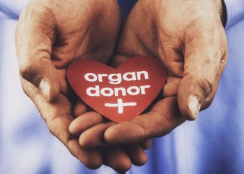 Indonesia Officially Bans Trade in Organs for Transplantation