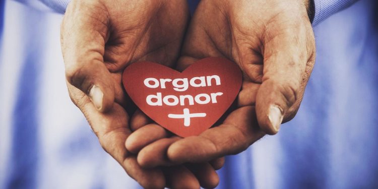 Indonesia Officially Bans Trade in Organs for Transplantation