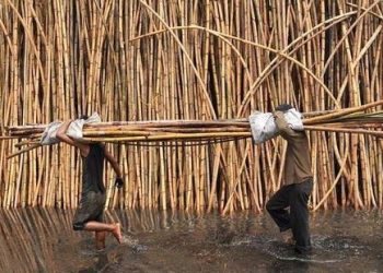 Indonesia is The World’s Largest Exporter of Rattan, followed by China and Vietnam