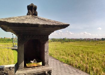 Andongan: Traces of Subak Era Phytoremediation