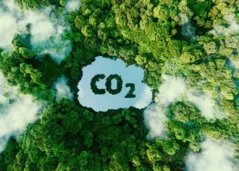 Indonesia is a Pioneer in Southeast Asia Implementing CCS/CCUS Regulations