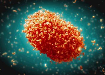 Indonesia to Tighten Health Checks for Arriving Foreigners Due to MPOX