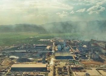 Jiangsu Delong Nickel Industry, Parent Company of VDNI and OSS Threatened with Bankruptcy