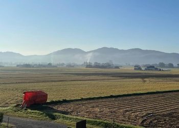 Heat Wave Effects, Japan’s Rice Crisis