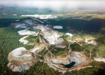 Indonesia and Africa Begin to Explore Cooperation in Downstreaming Lithium Minerals