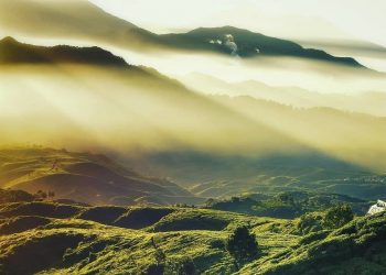 Investing in Clean Air Can Saves Lives and Combat Climate Change