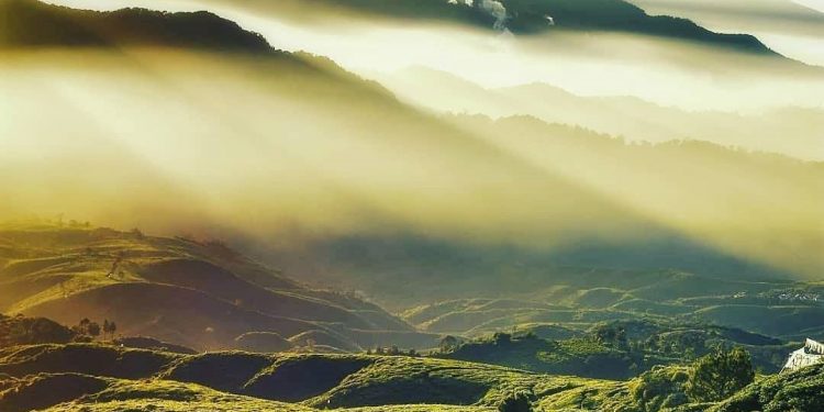 Investing in Clean Air Can Saves Lives and Combat Climate Change
