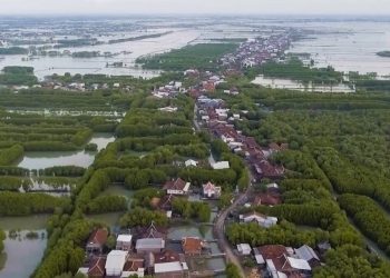 Indonesia Collaborates with Korea and the Netherlands to Develop the North Coast of Java