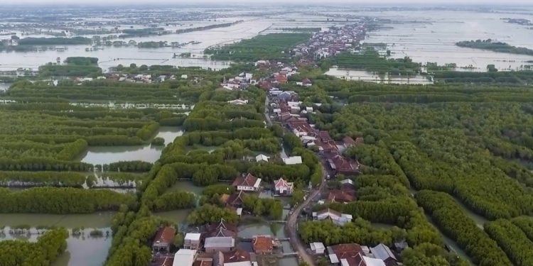 Indonesia Collaborates with Korea and the Netherlands to Develop the North Coast of Java