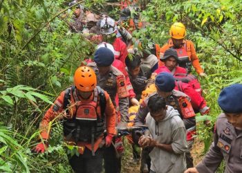 Illegal Gold Mining Landslide in Solok: 13 Killed, 12 Survived