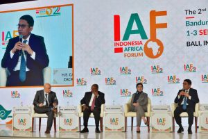 Indonesia and Africa Begin to Explore Cooperation in Downstreaming Lithium Minerals 1