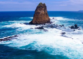 Jember South Coast Becomes Megatrust Earthquake Preparedness Pilot Project in Indonesia