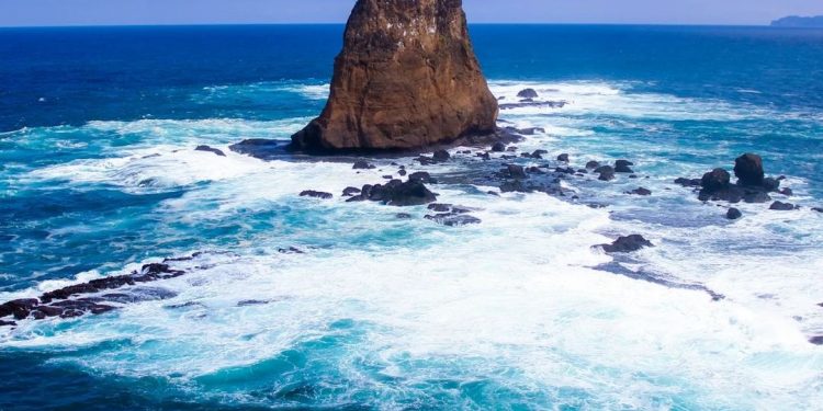 Jember South Coast Becomes Megatrust Earthquake Preparedness Pilot Project in Indonesia