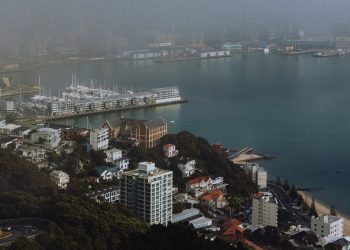 Effects of the Economic Crisis, New Zealanders Exodus to Australia