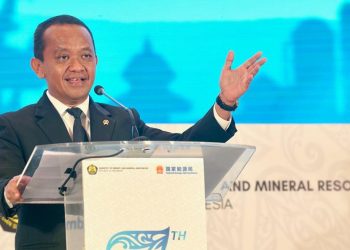 Indonesia-China Energy Forum: Strengthening Clean Energy Investment Collaboration
