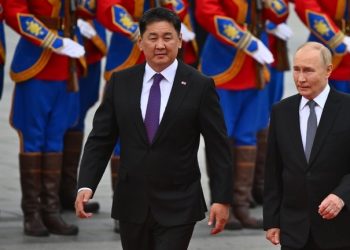 Putin invites Mongolian President to BRICS Summit