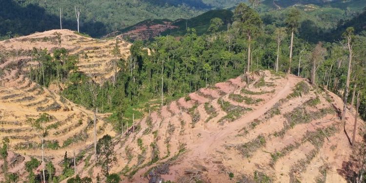 Wood Biomass Energy Expansion Threatens Tropical Forests in Southeast Asia 1 Wood Biomass Energy Expansion Threatens Tropical Forests in Southeast Asia