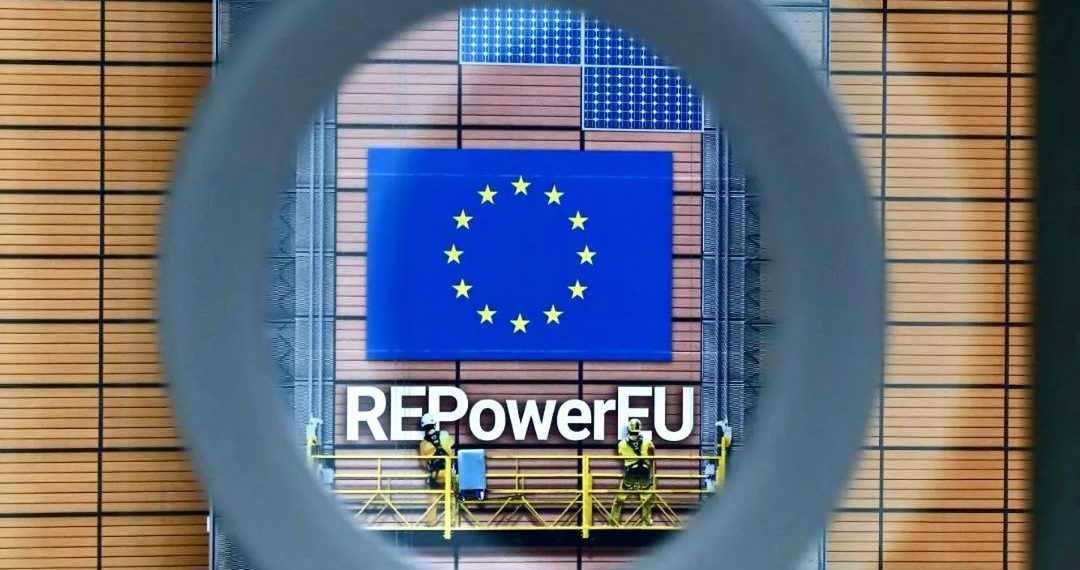 EU Delays Implementation of Deforestation Regulation 1 EU Delays Implementation of Deforestation Regulation