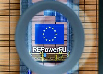 EU Delays Implementation of Deforestation Regulation