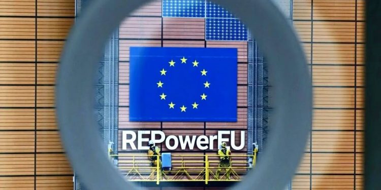 EU Delays Implementation of Deforestation Regulation