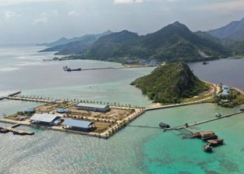 Indonesia and Asia Pacific Countries Collaborate on Climate Action